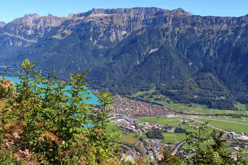 Lucerne: Interlaken & Grindelwald Exclusive Private Day Tour - Key Points at a Glance