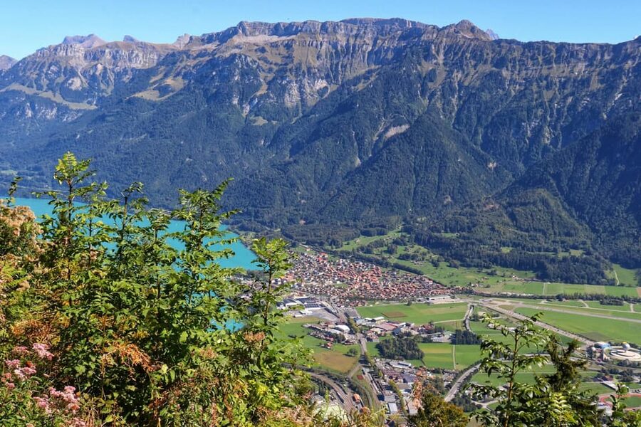 Lucerne: Interlaken & Grindelwald Exclusive Private Day Tour - Private Lucerne Day Trip: what you are really paying for