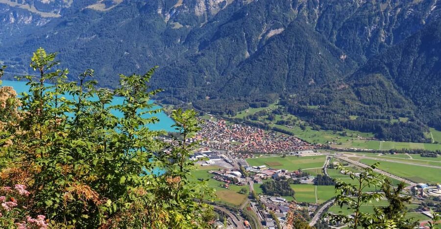 Lucerne: Interlaken & Grindelwald Exclusive Private Day Tour - Price and value for a 10-hour private itinerary from Lucerne