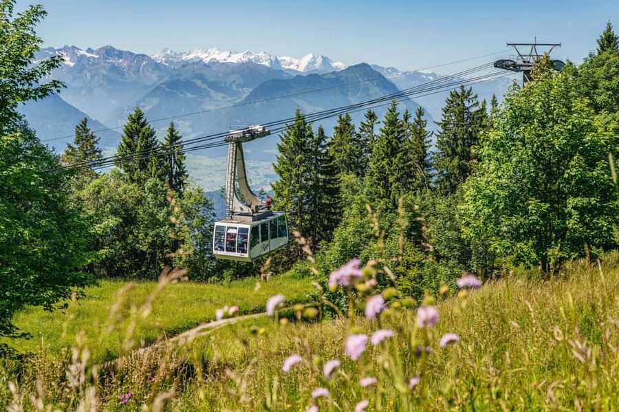Lucerne: Mt Rigi Day Trip with Cruise, Cable Car, & Train - 6 hours, three rides, one big view circuit