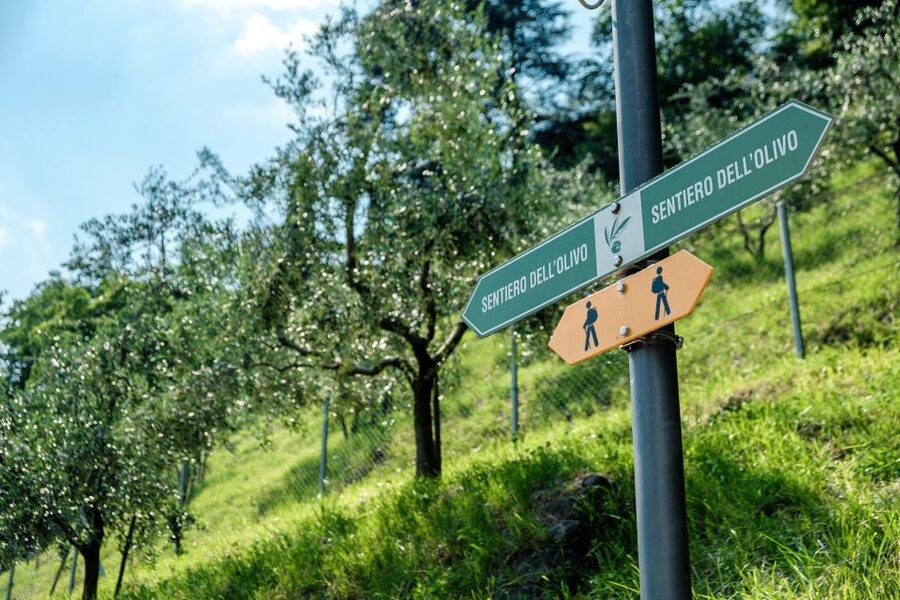 Lugano: Guided Walking Tour to Gandria with Boat Cruise - Price and time value: what $25 buys you