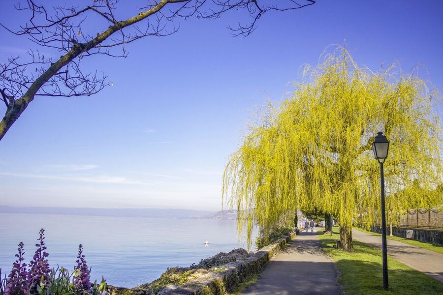 Montreux: Express Walk with a Local in 60 minutes - Why this Montreux express walk is a smart use of time