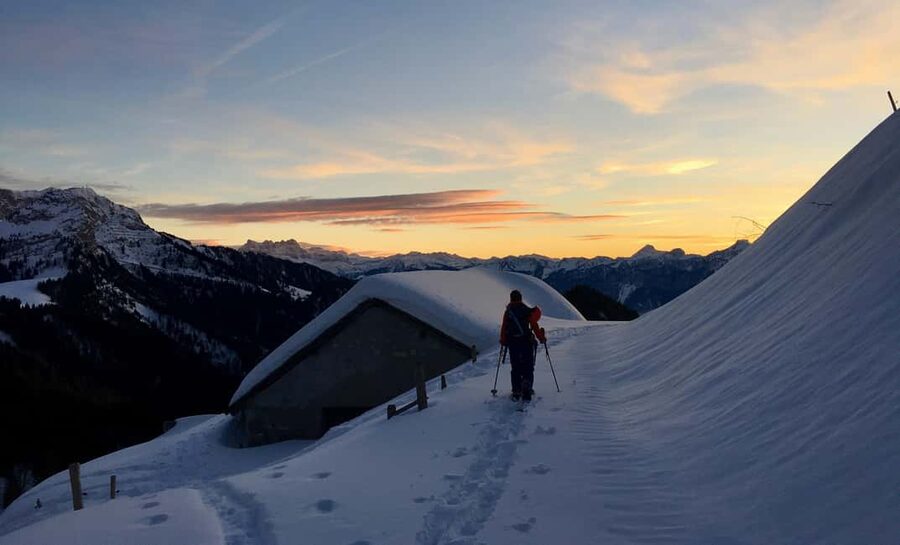 Montreux: Snowshoe Trek with Fondue and Wine - Getting There from P+R Gare Montreux and Track 8
