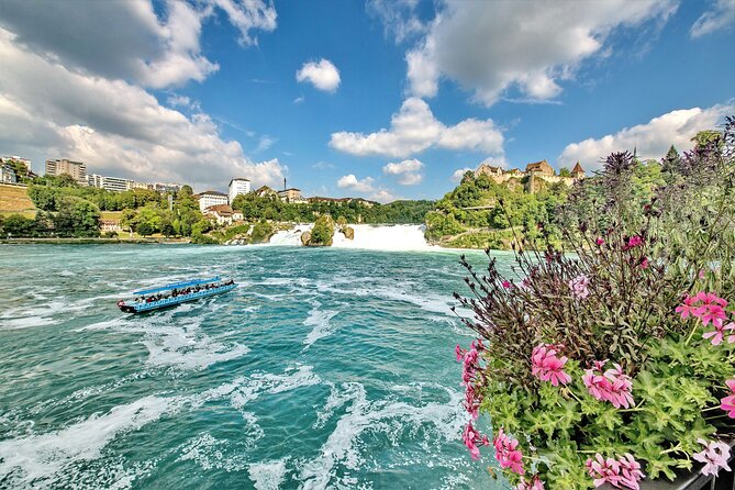Morning group tour to Rhine falls - Key Highlights You’ll Care About