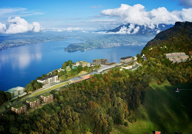 Mount Bürgenstock Independent Tour from Lucerne - Price and value: what you are paying for in this Lucerne day trip