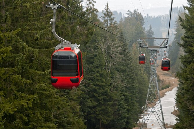 Mount Pilatus & Lucerne Private tour - Key highlights you will care about
