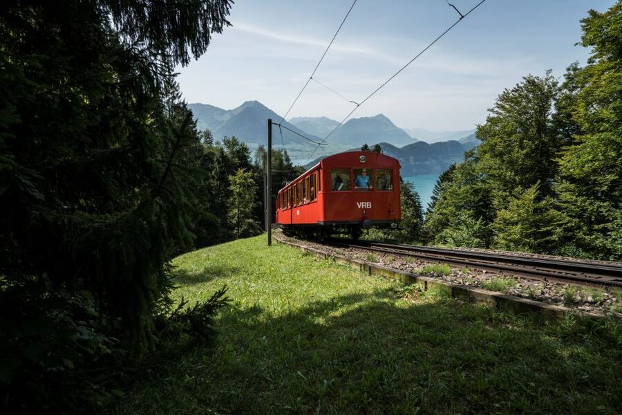 Mount Rigi: Day Pass - Goldau: Another Cogwheel Path to the Top, With a Different Angle