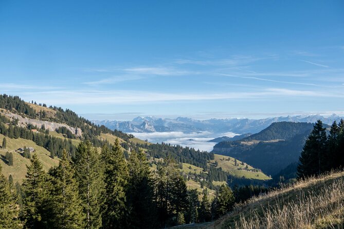 Mount Rigi Tour from Lucerne Historic Train and Boat Ride - A 6-hour rail and lake day that actually stays manageable