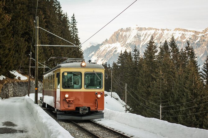 Mountain Majesty: Small Group Tour to Lauterbrunnen and Mürren - Mürren: roaming time, road-less village charm, and good “just be there” moments
