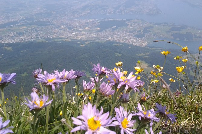 Mt. Pilatus Golden Roundtrip Private Day Trip from Luzern - Timing, pace, and why 10:00 am is the right kind of early
