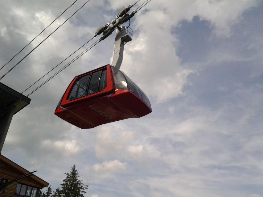 Mt.Pilatus Golden Roundtrip Small Group Day Trip from Luzern - The Dragon Ride and cable car descent via Kriens, the scenic finish
