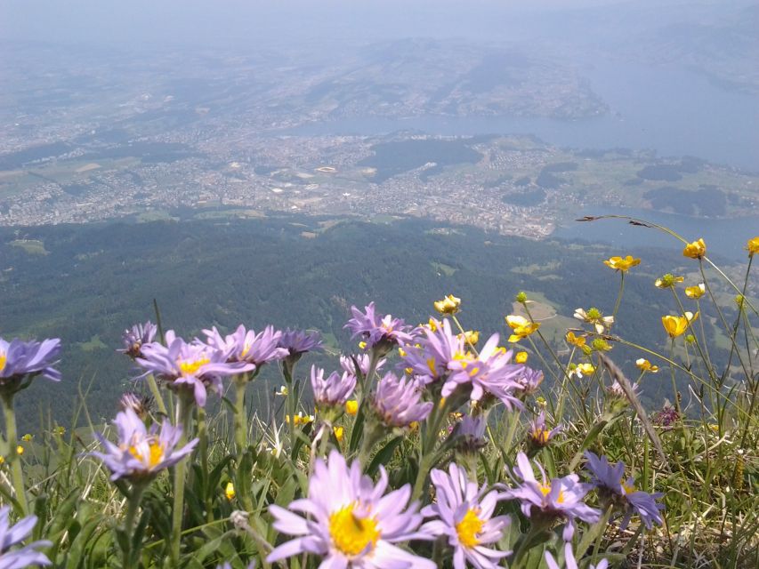 Mt.Pilatus Golden Roundtrip Small Group Day Trip from Luzern - Should you book it, or DIY Pilatus from Luzern?