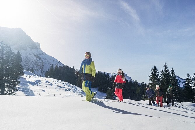 Mt. Pilatus Gondola and Aerial Cableway Ticket from Kriens - Why Mt. Pilatus from Kriens feels smoother than you expect