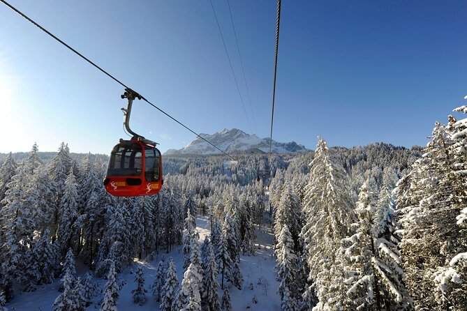 Mt. Pilatus Gondola and Aerial Cableway Ticket from Kriens - Price and value: is $83.60 reasonable for what you get?