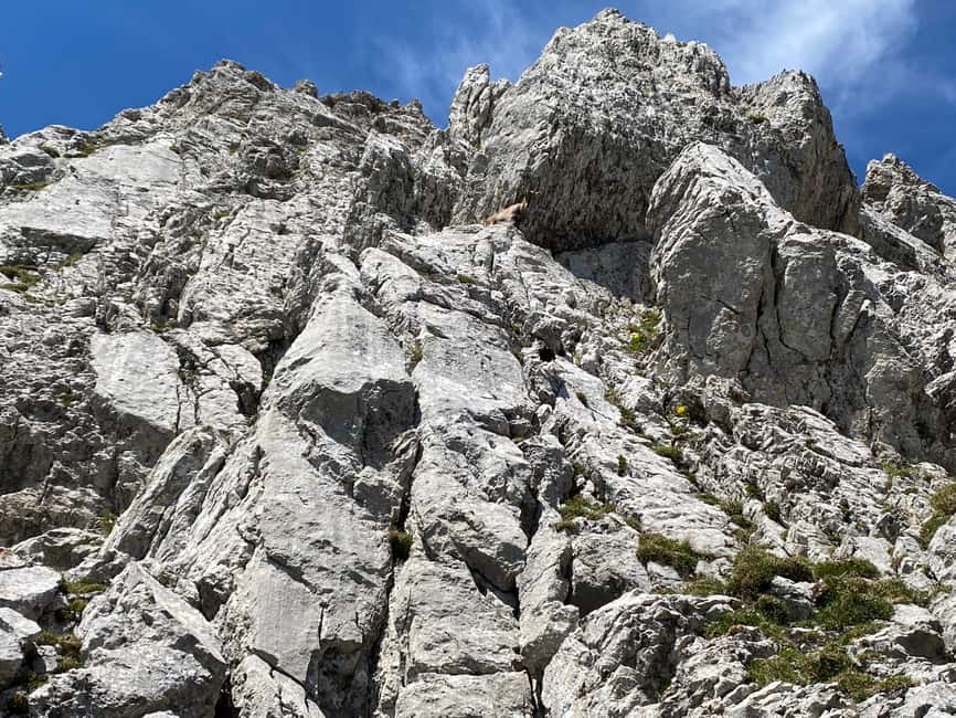 Mt. Pilatus & Lake Lucerne Small Group Tour | From Lucerne - FAQ