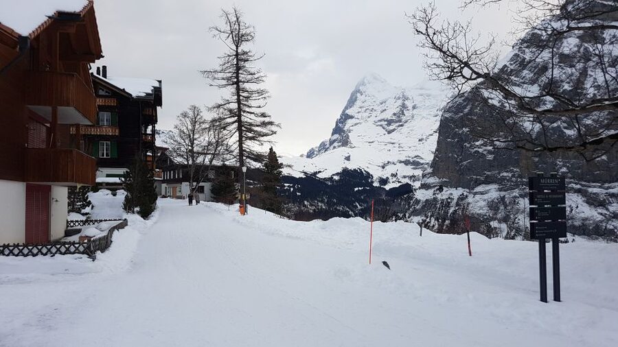 Mt. Schilthorn & Mürren Private Day Trip from Zürich - Should you book this private Schilthorn and Mürren tour?