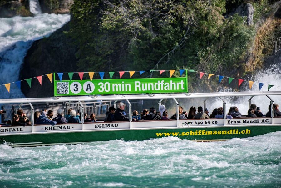 Neuhausen am Rheinfall: Rhine Falls Boat Tour - What You Learn on Board: Beavers, River Stories, and Real Animal Curiosity