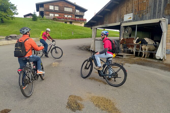 Panoramic E-Bike Tour with a Lake Cruise - Practical tips that help the day run smoothly