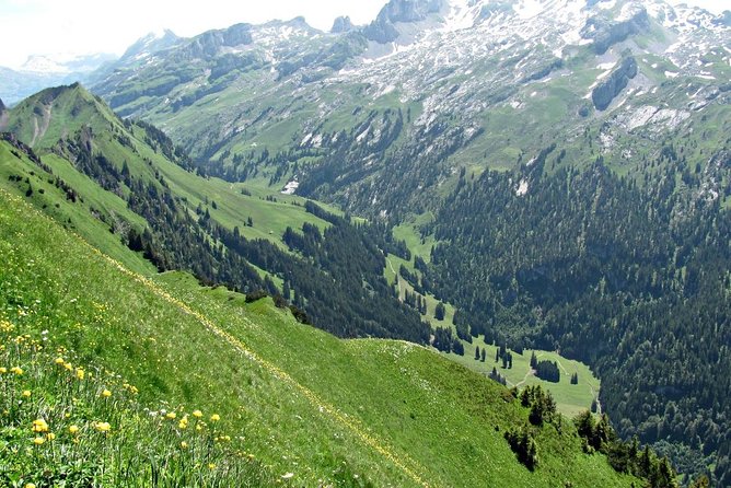 Peak to Peak Private Hiking Tour from Lucerne - Price and value, and how a private guide changes the day