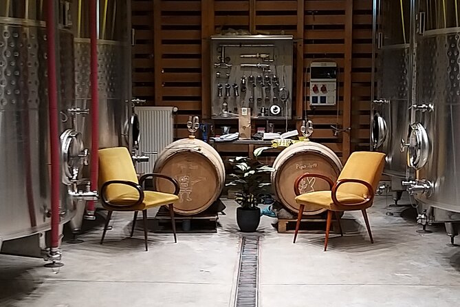 Pinot Noir & Pinot Wine Tour to Baden-Württemberg - Baden-Württemberg for Pinot Lovers, with a Basel start