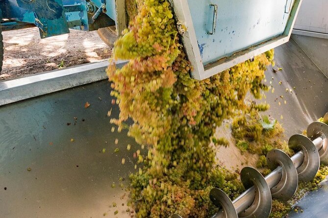 Pinot Noir & Pinot Wine Tour to Baden-Württemberg - Vogtsburg im Kaiserstuhl, a quick taste of the region’s volcanic warmth