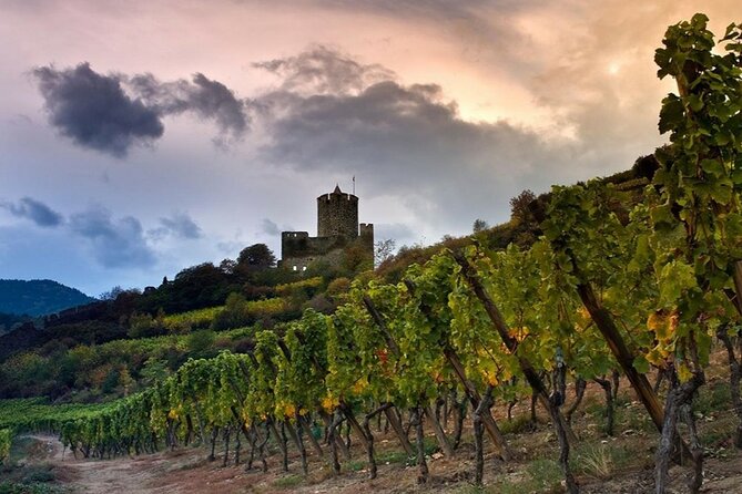 Pinot Noir & Pinot Wine Tour to Baden-Württemberg - Ihringen lunch break, plan for a bistro meal on your own