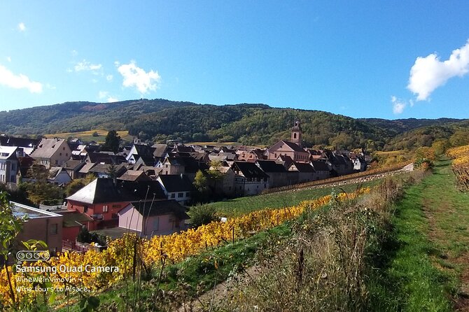 Pinot Noir & Pinot Wine Tour to Baden-Württemberg - Kaiserstuhl Lavendel Gbr vineyard walk, weather decides your footing