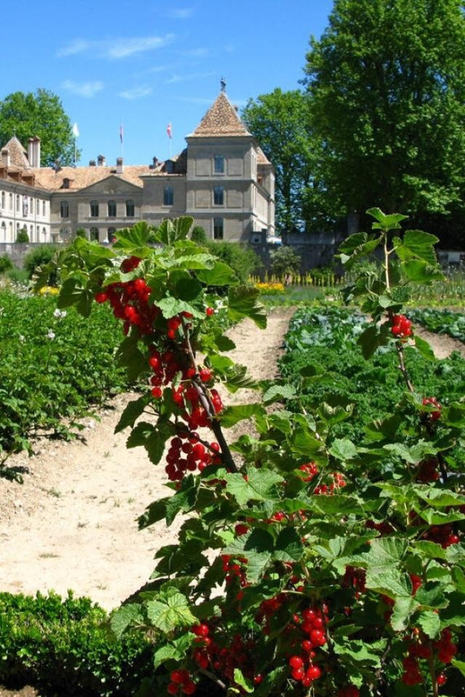 Prangins, Lake Geneva: Château de Prangins Entry Ticket - Swiss National Museum Displays: Swiss History Without the Overload