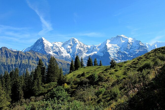 Private day trip from Zurich to Grindelwald, Interlaken and back - Timing tips for two 2-hour stops in Alpine towns