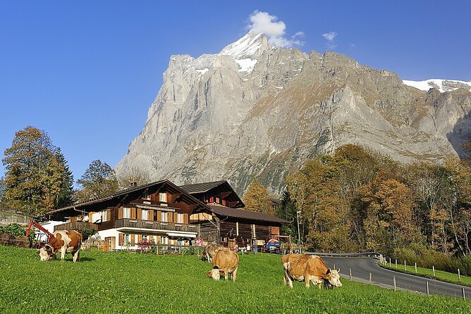 Private day trip from Zurich to Grindelwald, Interlaken and back - Who this private day trip is best for
