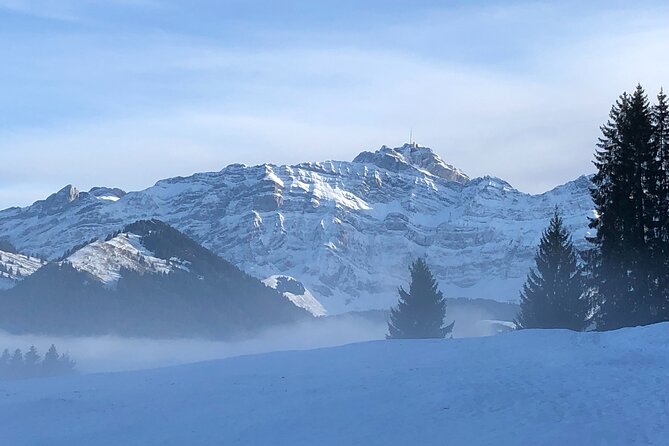 Private Guided Swiss Alps Day Trip from Zurich with Hotel Pick-Up - Price and Value: What You Pay For on This Private Tour