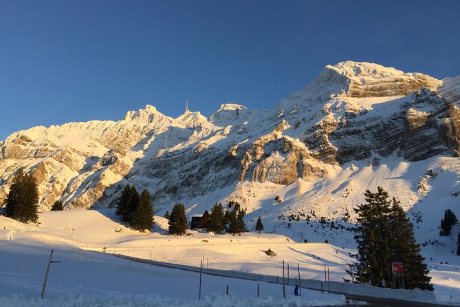 Private Guided Swiss Alps Day Trip from Zurich with Hotel Pick-Up - Who This Tour Fits Best (And Who Might Want Something Different)
