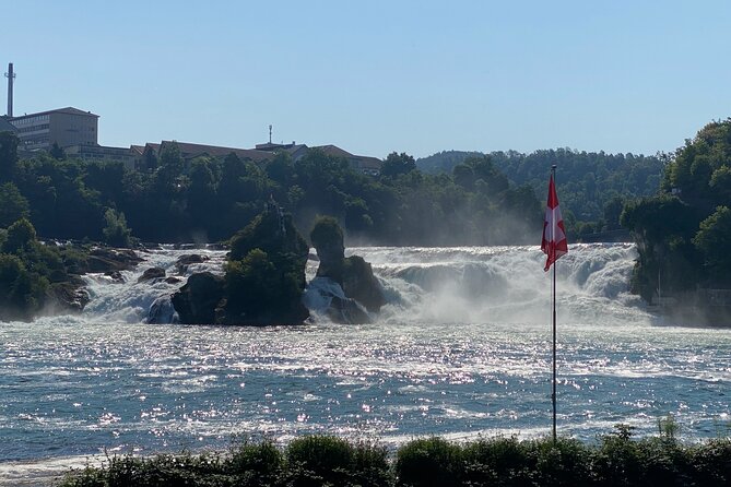Private Half-Day Tour to the Rhine Falls with Pick-up at Hotel - Price and Value: Is $236.69 Per Person Fair?