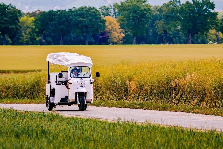 Private Highlights Top Places Tour Electric TukTuk 1h15 - Value at $101 Per Person for a Private Guide and Transport