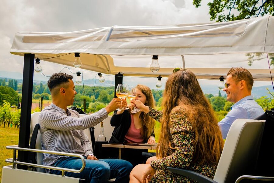 Private Highlights Top Places Tour Electric TukTuk 1h15 - Geneva by Electric TukTuk: Why This 1 Hour Works