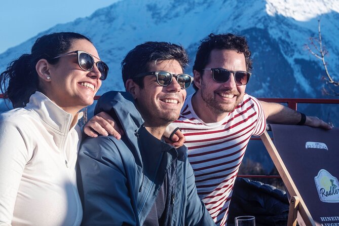 Private Ski Instructor from Lucerne including Transport - Who this is best for in real life