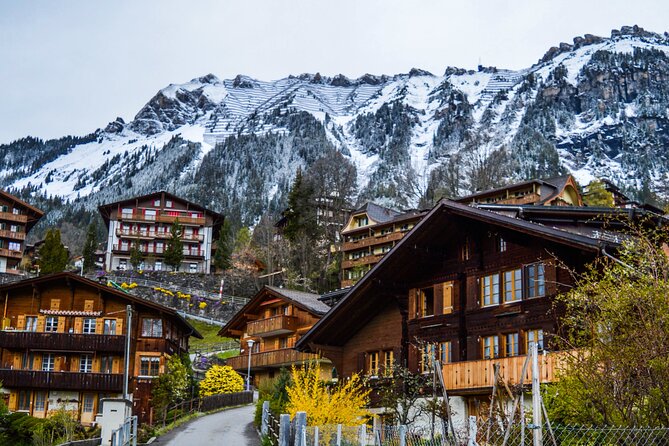 Private tour from Zurich to Interlaken and Lauterbrunnen Valley - Zurich to Interlaken and Lauterbrunnen, without the transfer stress