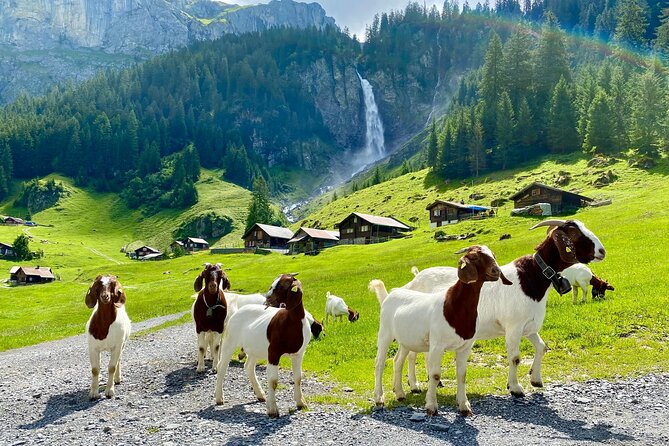 Private tour to the most breathtaking insider spots in Switzerland (1 day) - A private Zurich to Alps day that feels like a local road trip