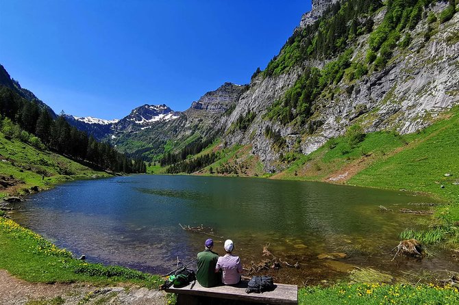 Private tour to the most breathtaking insider spots in Switzerland (1 day) - Price and value: why this costs a lot, and when it makes sense