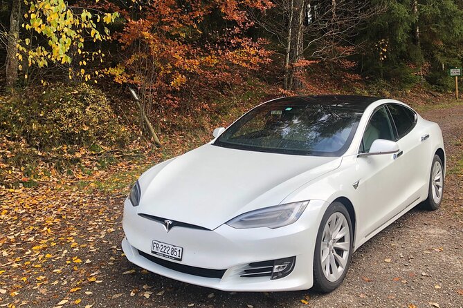 Private transfer from Interlaken to Zurich Airport - Luggage rules, child seats, and winter gear checks