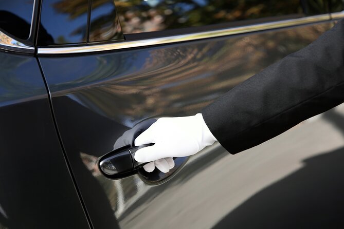 Private transfer Zurich to Basel (1-6 persons) - Key highlights and practical wins