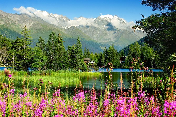 Private Trip from Geneva to Swiss Riviera Montreux & Chamonix - Price and What You Actually Get for Up to 3 People