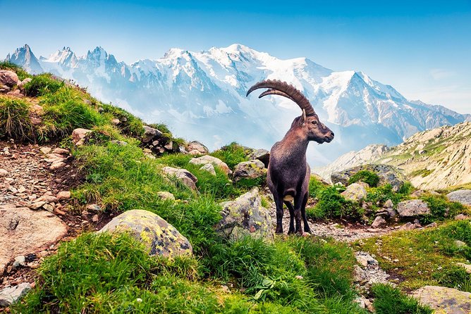 Private Trip from Geneva to Swiss Riviera Montreux & Chamonix - Chamonix: What 2 Hours Really Means in a Mountain Town
