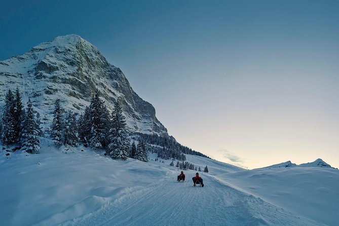 Private trip from Zurich to Jungfraujoch (The Top of Europe) - Zurich to the Jungfrau Region, the value of doing it in one go