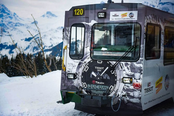 Private trip from Zurich to Jungfraujoch (The Top of Europe) - Tickets and what you’ll want to double-check before you go