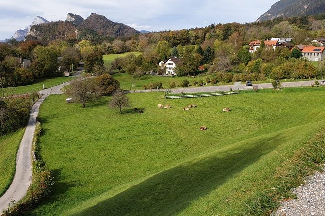 Private Trip from Zurich to Vaduz in Liechtenstein & Swiss Heidiland - Vaduz on Foot: Castle Exterior, St. Florin, and Government Buildings
