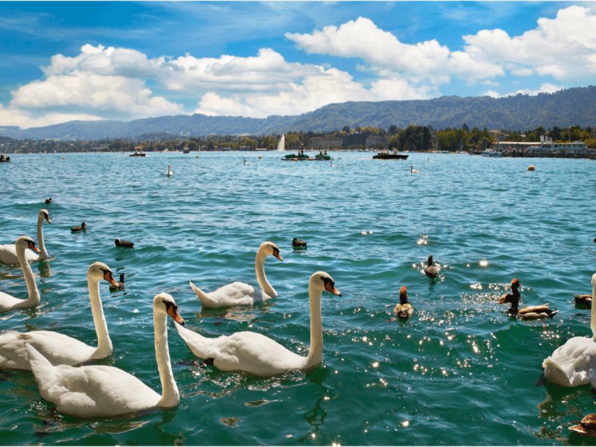 Private Zurich City Tour with Cruise and Lindt Chocolate - Private Mercedes pickup: comfort that makes the day easier