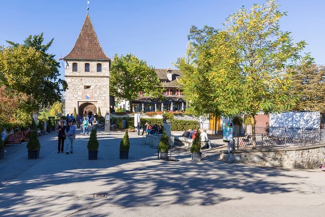 Rhine Falls and Stein am Rhein Half-Day Tour from Zurich - Getting the most from your one hour at the falls