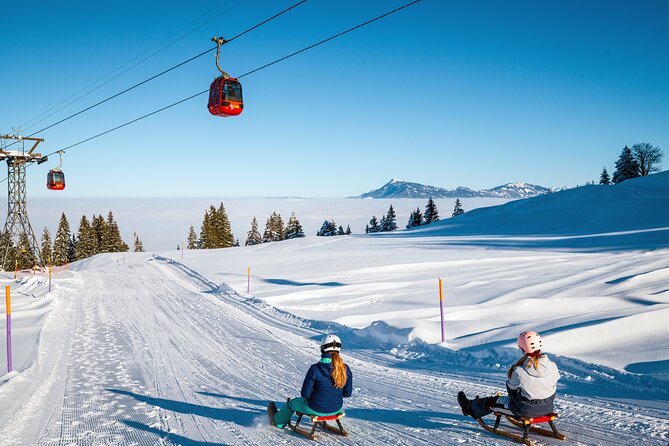 Ride the Dragon to Mount Pilatus: Small-Group Tour from Zurich - The bus, the timing, and how small-group days actually work