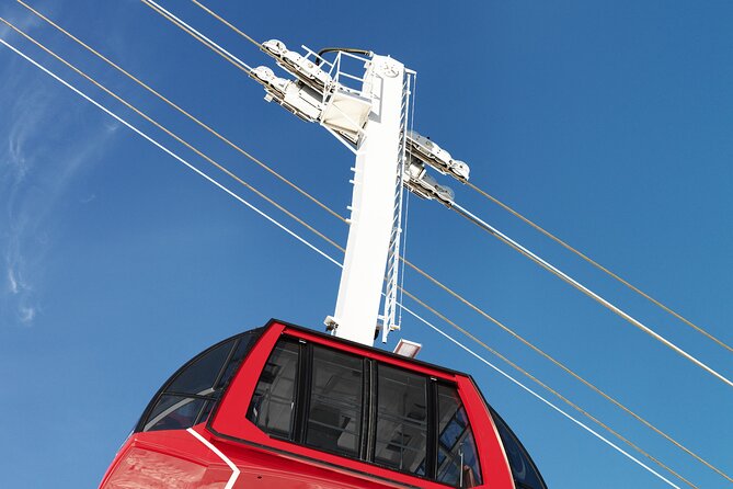 Ride the Dragon to Mount Pilatus: Small-Group Tour from Zurich - Price and value: $211.62 for transport, guide support, and the big ride